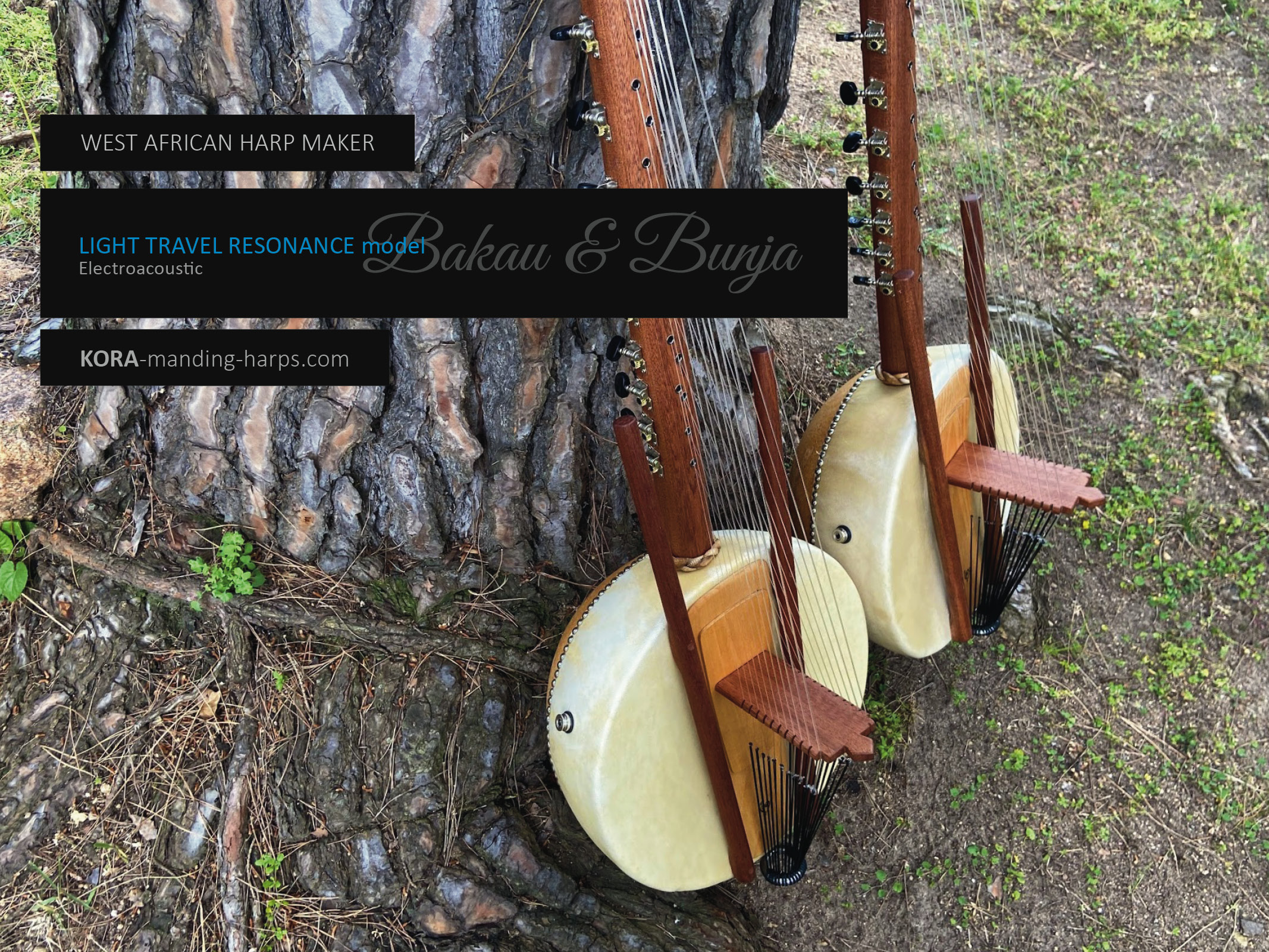 Kora RESONANCE model improves the sound of traditional harps