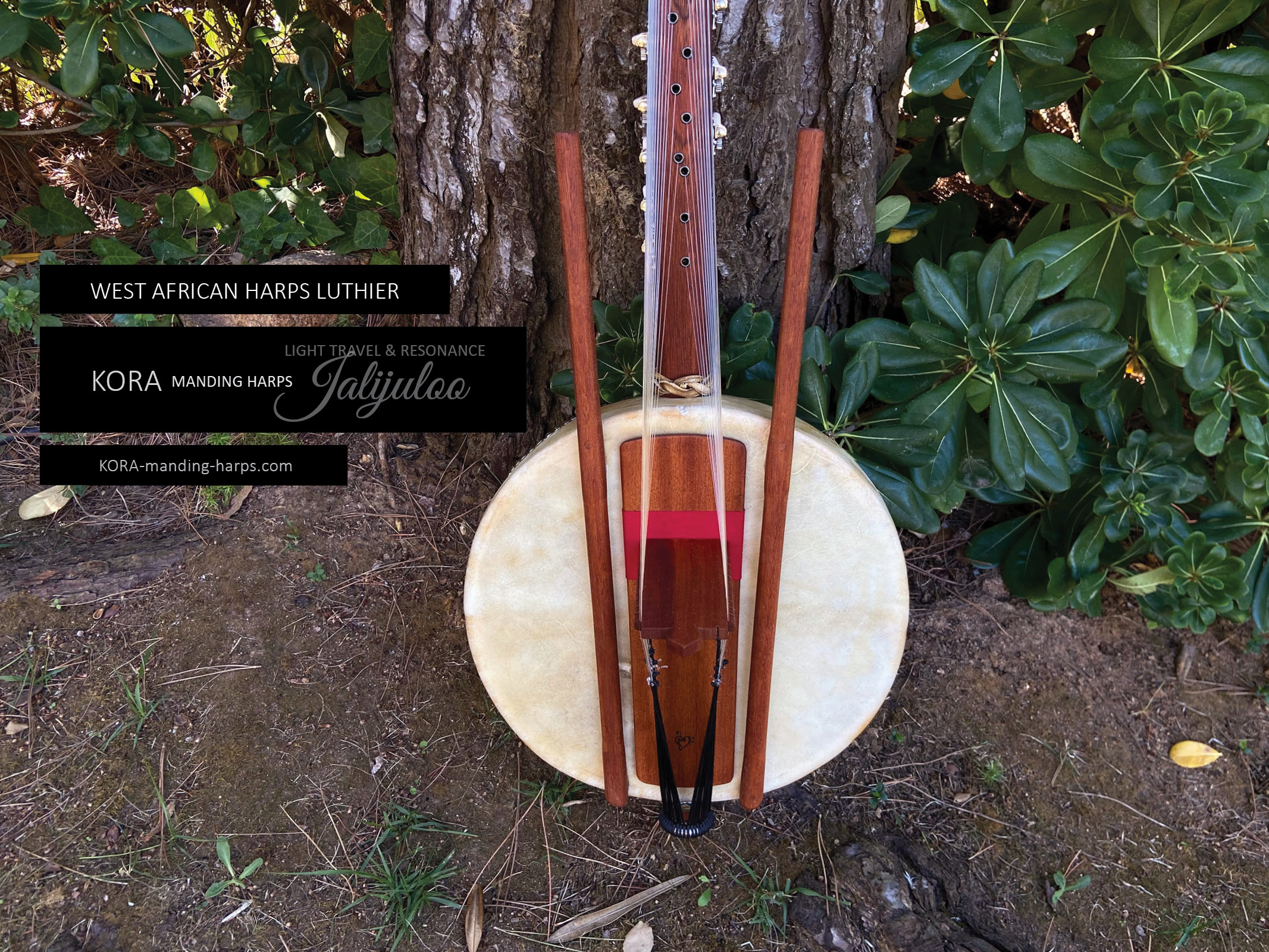 Kora RESONANCE model improves the sound of traditional harps