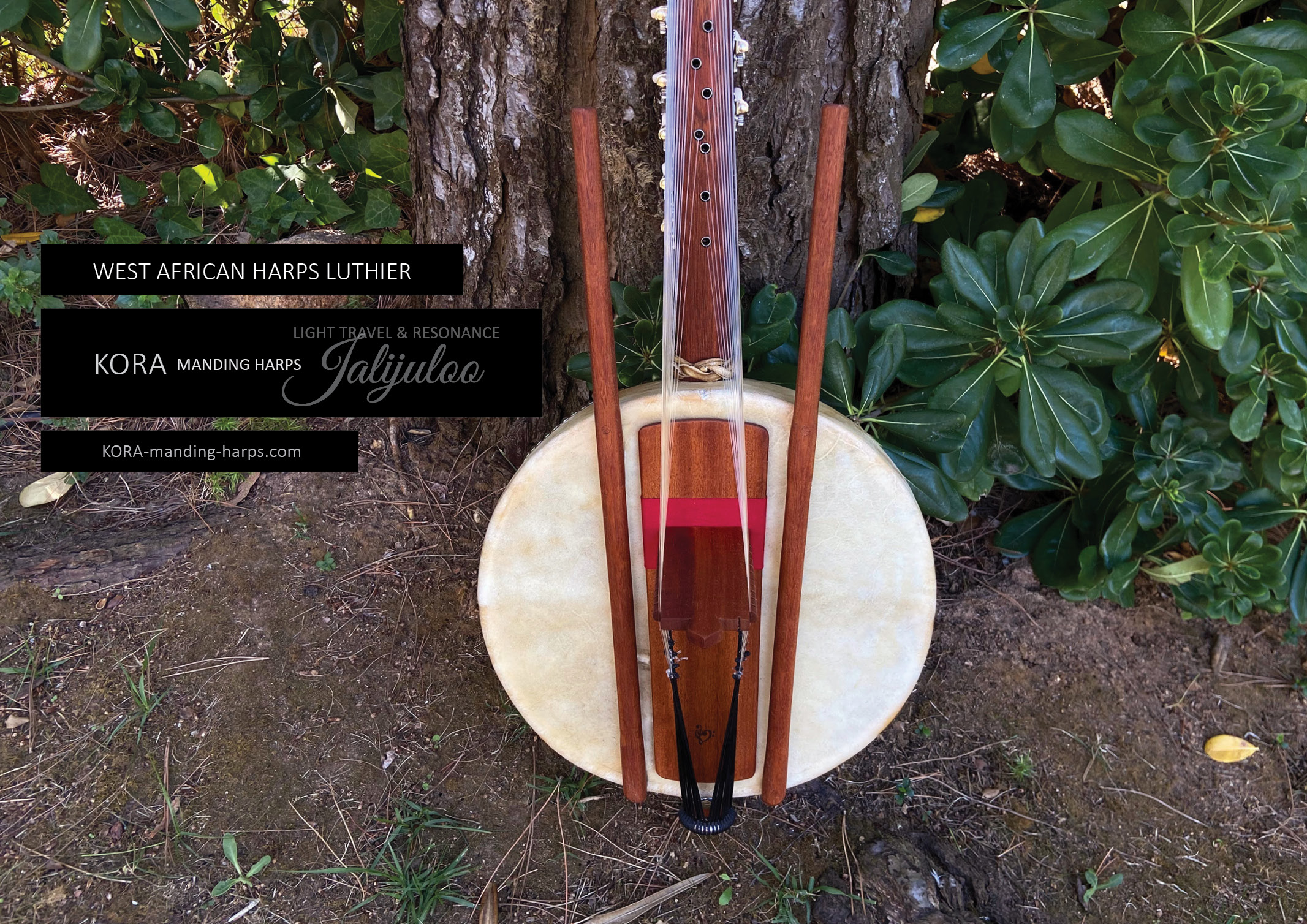 Das Modell Kora RESONANCE verbesserte den Klang traditioneller Harfen.
